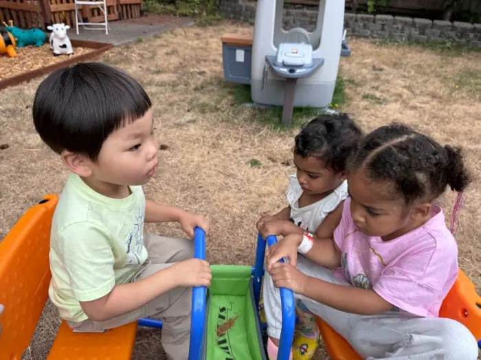 Toddler sibling bonds during cooperative play
