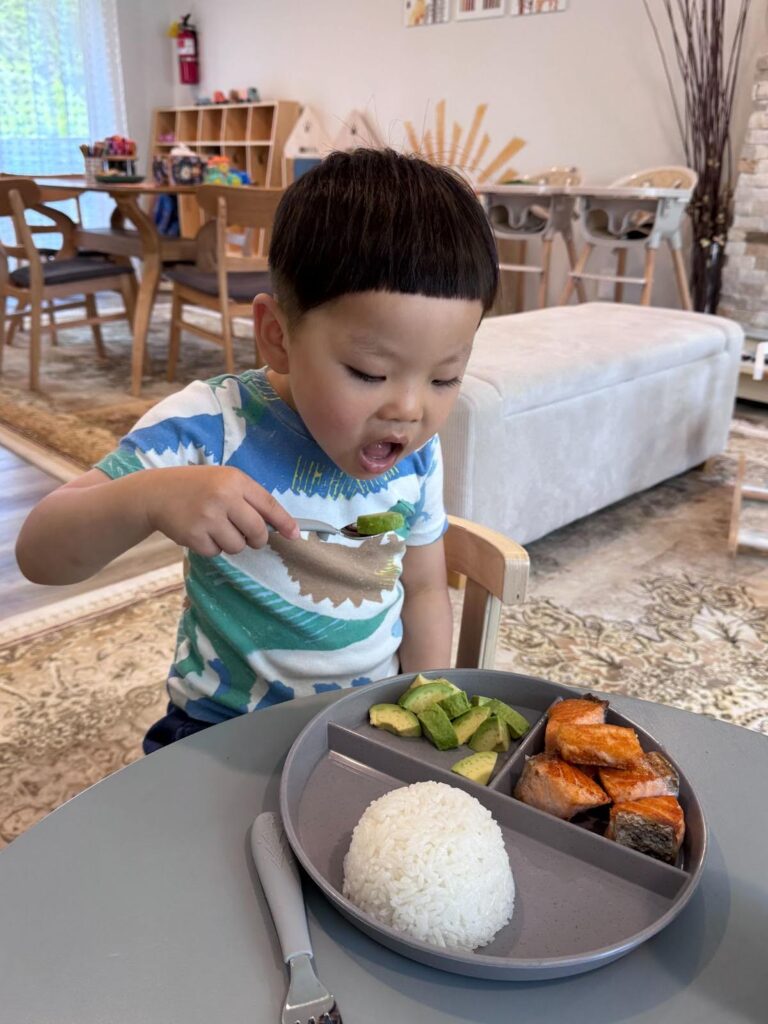 Healthy meal with salmon, rice, and avocado for preschoolers at Kido Heaven Child Care in Bothell, WA.