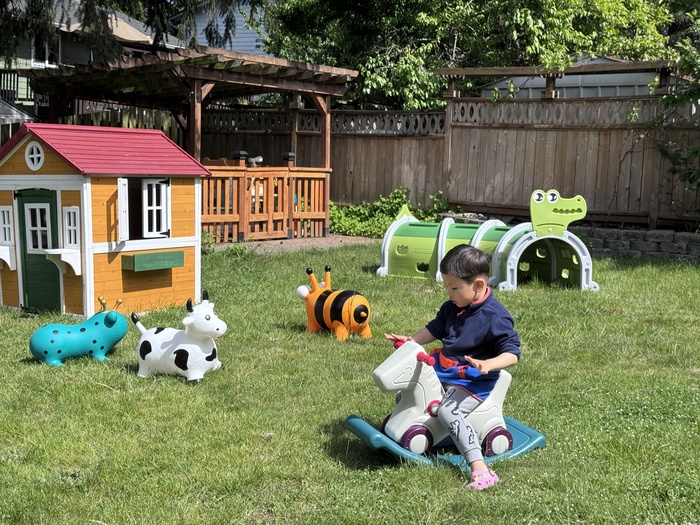 Child playing in outdoor playground at Kido Heaven - daycare Bothell with colorful animal toys and play structures.