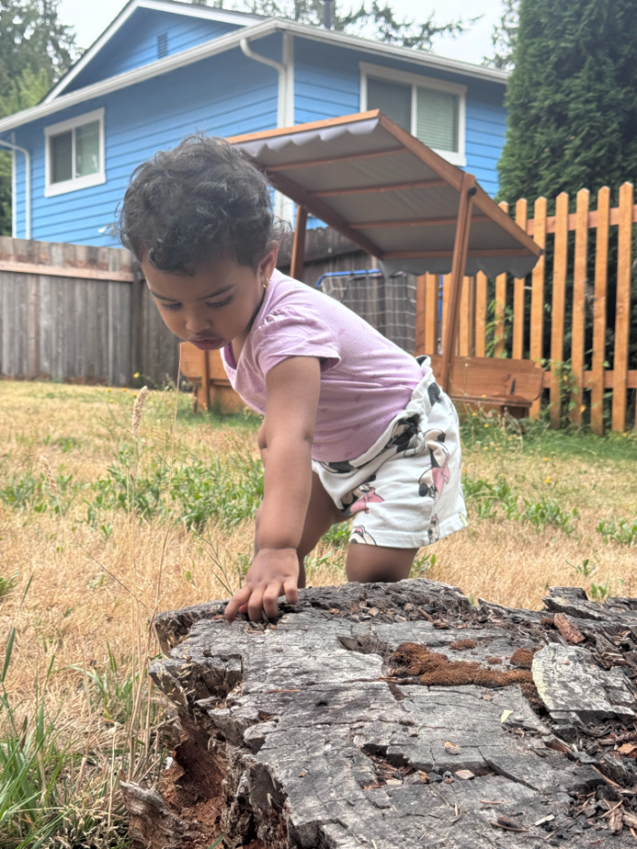 Infants in daycare yard patting soft soil bins with tree bark textures – spring sensory stations Bothell childcare  